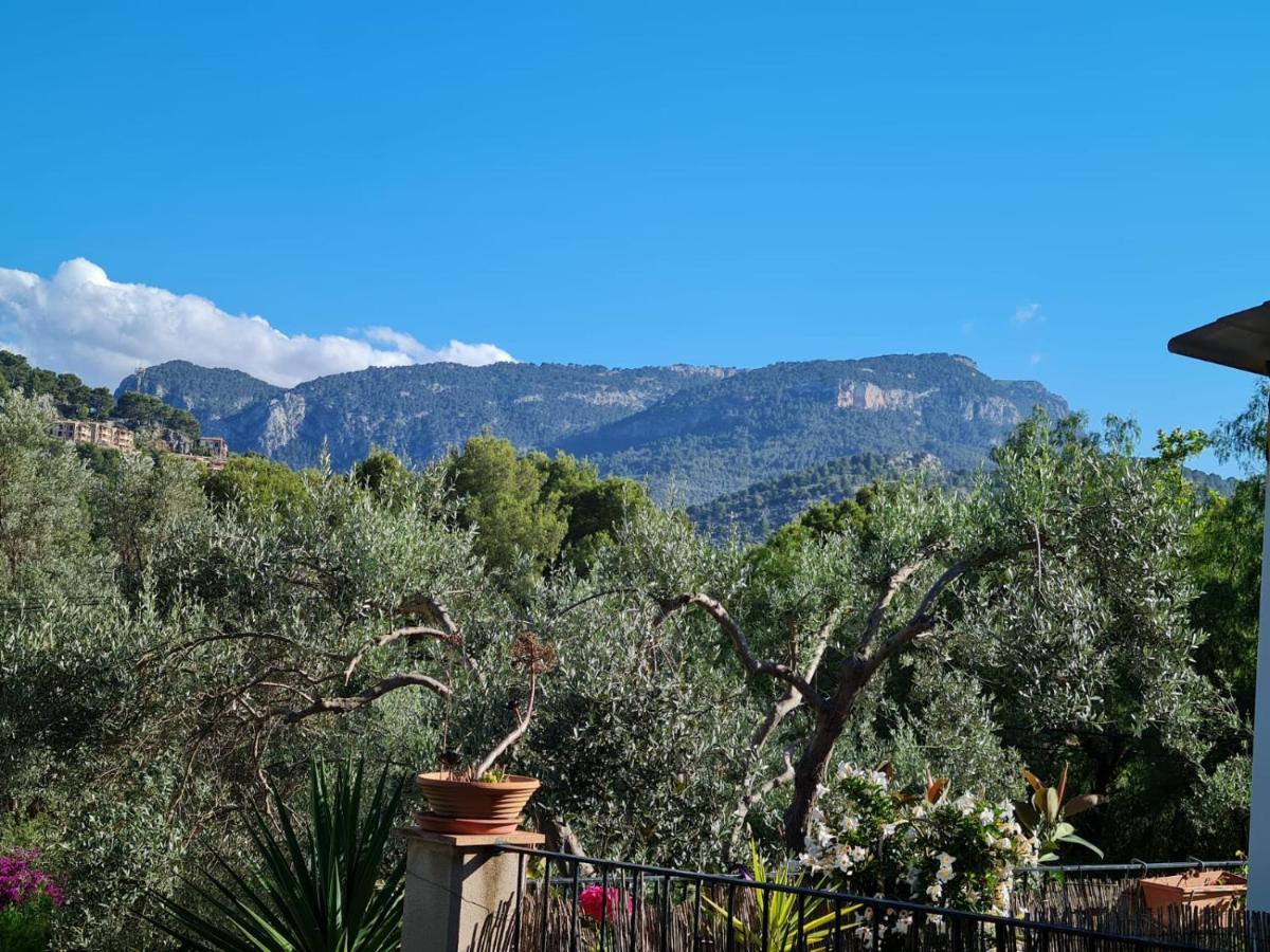 Casa Sunny Vakantiehuis *